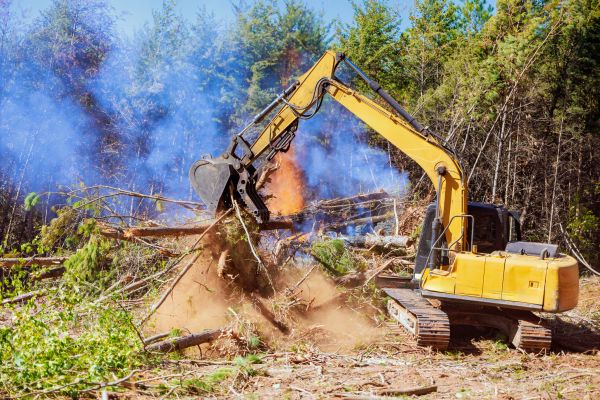 Lubbock Land Clearing